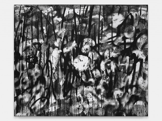 museum moderner kunst stiftung ludwig wien | mumok Wien: Adam Pendleton. Blackness, White, and Light - Archiviert