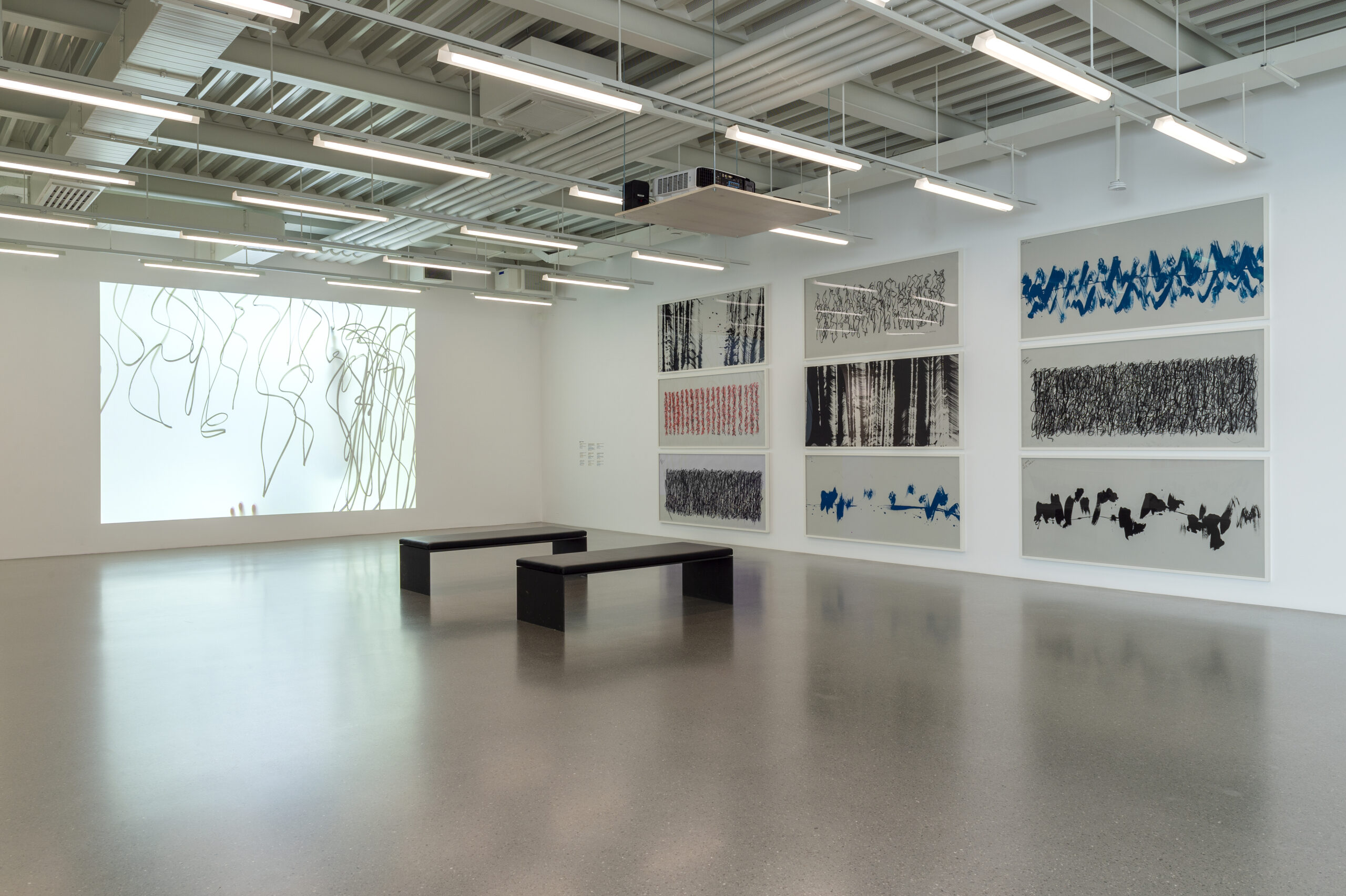 Ausstellungsansicht "Im Auge des Kosmos - Fabienne Verdier", Saaralandmuseum, 2022, © VG Bild-Kunst, Bonn 2022, Foto Marc Domage