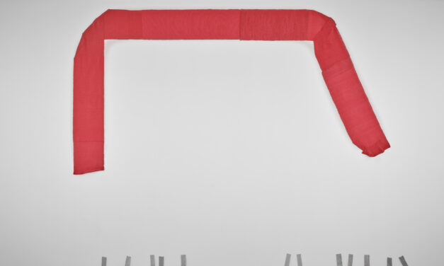 Kunsthalle Mainz: Hana Miletić – Pieces