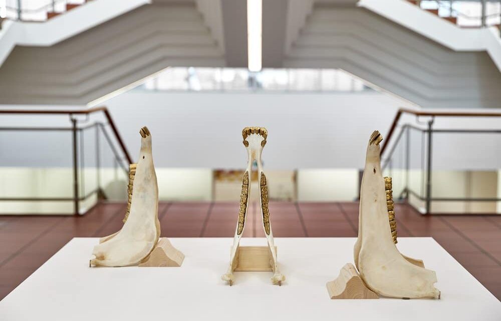 Museum Ludwig Köln: Hier und Jetzt – Antikoloniale Eingriffe - Archiviert