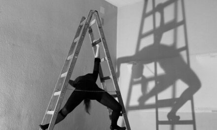 Kunstmuseum Stuttgart: Frischzelle_29: Hannah J. Kohler - Archiviert