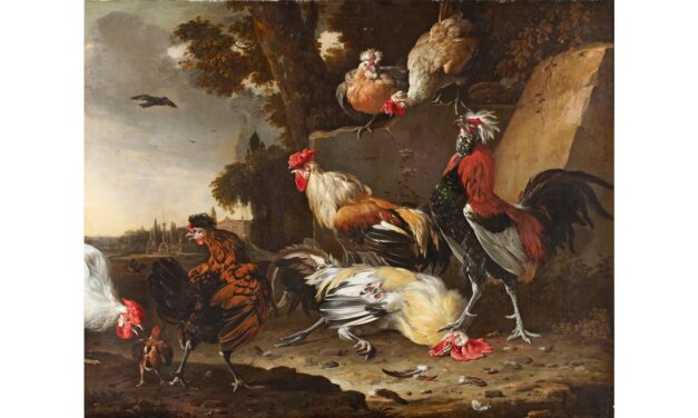 Arp Museum Bahnhof Rolandseck: Tierisch was los!