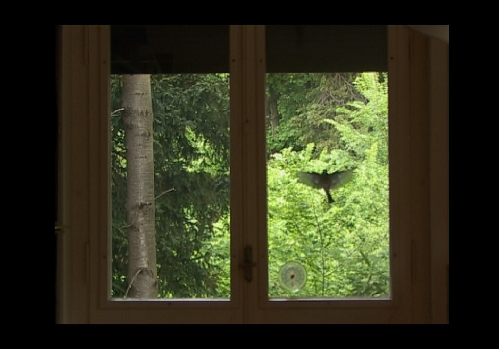 Aleksandra Signer, Am Fenster, 2006 (Videostill). Kunstmuseum Liechtenstein, Vaduz © Aleksandra Signer