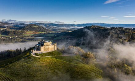 Taggenbrunner Festspiele 2023 - Archiviert