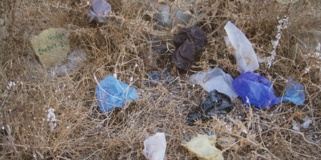 Kunstmuseum Liechtenstein: Artist’s Choice: Martina Morger. Are We Dead Yet?