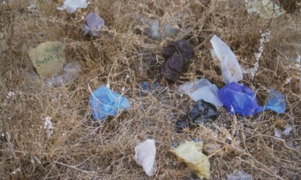 Kunstmuseum Liechtenstein: Artist’s Choice: Martina Morger. Are We Dead Yet?