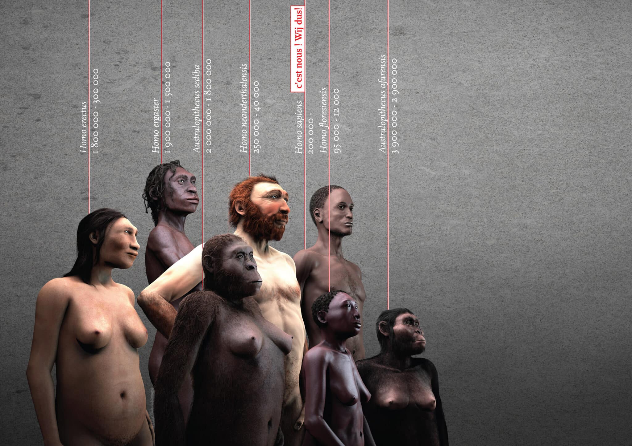 Aus der Ausstellung "Galerie des Menschen" © KBIN/IRSNB