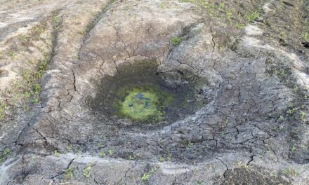 Das Kunstmuseum Stuttgart: From 1914 till Ukraine - Archiviert