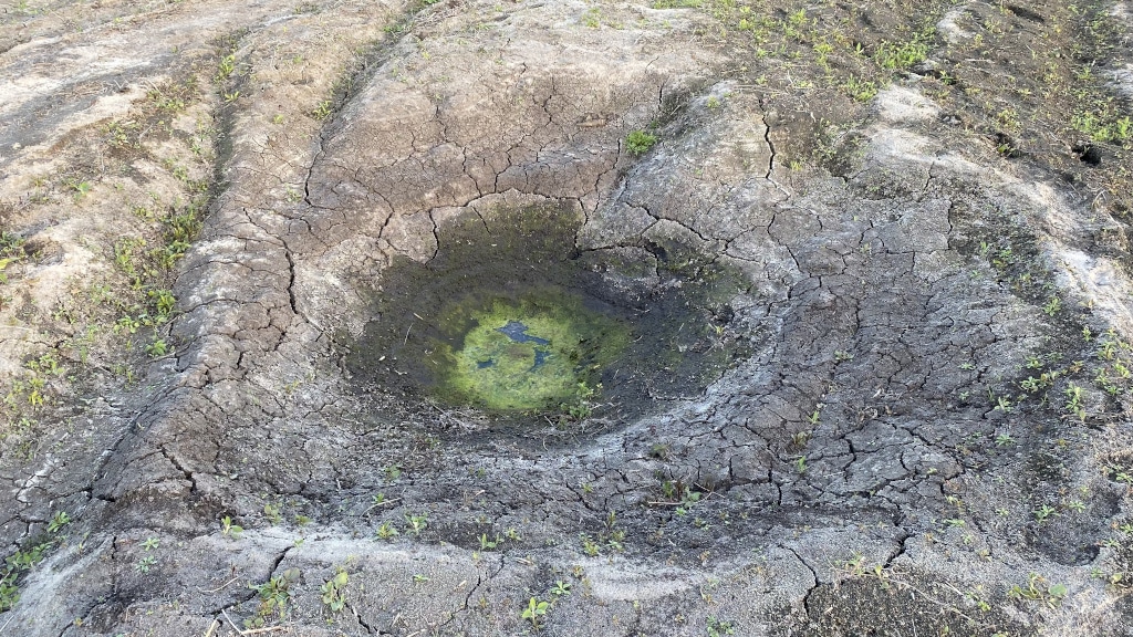 Das Kunstmuseum Stuttgart: From 1914 till Ukraine - Archiviert