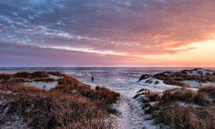 Nationalpark Vadehavet