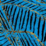 Hantaï, Klee und andere Abstraktionen