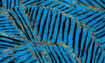 Hantaï, Klee und andere Abstraktionen