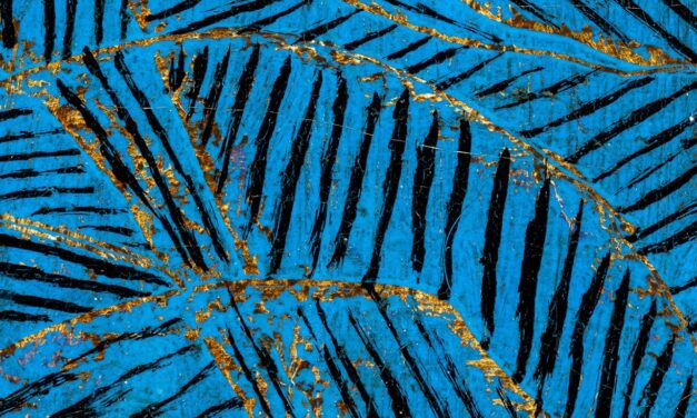 Hantaï, Klee und andere Abstraktionen