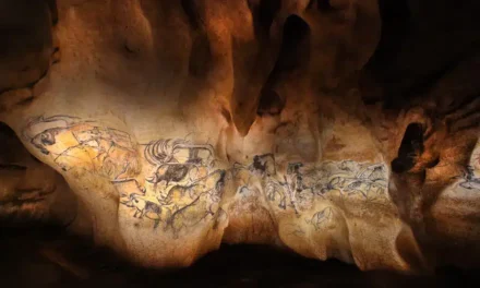 GROTTE CHAUVET 2 ARDÈCHE: ANIMAL – VON DER PRÄHISTORIE BIS ZUR STREET ART