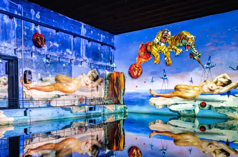 Bassins des Lumières in Bordeaux: Dalí und Gaudí