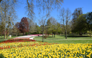 Der Tulpengarten von Château de Cheverny © Château de Cheverny