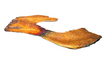 Museum für Lackkunst Münster: Neue japanische Lackkunst aus Hokuriku - Archiviert