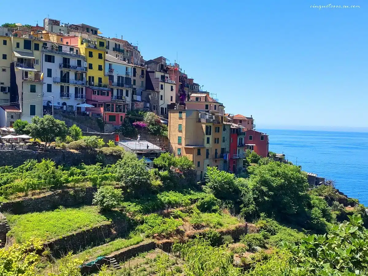 Das Dorf Corniglia © cinqueterre.eu