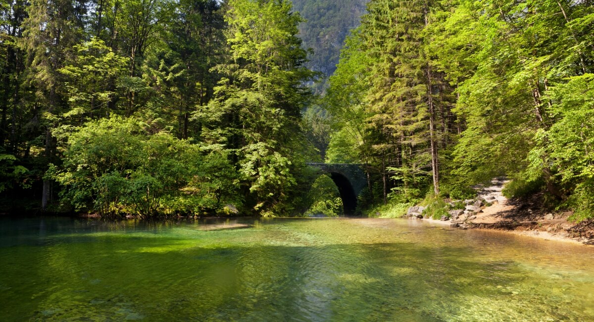 Das Tal Kamniša Bistrica © slovenia.info