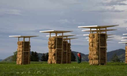 Supergau für zeitgenössische Künste Salzburg 2023 - Archiviert