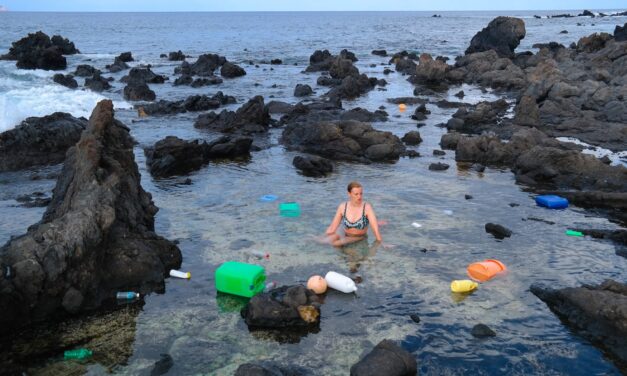 Stadtgalerie Villa Dessauer Bamberg: Swaantje Güntzel – Instant Paradise