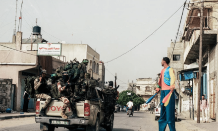 Das Stadthaus Ulm: Johanna-Maria Fritz – Like a Bird - Archiviert