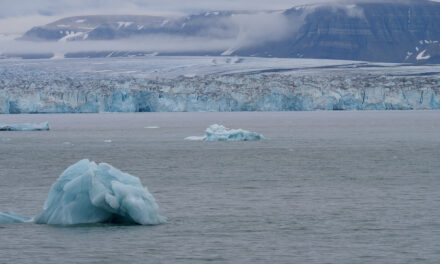 Kunsthalle Krems: Oliver Ressler. Climate Feedback Loops - Archiviert