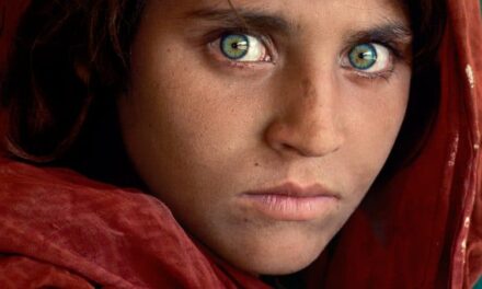 Steve McCurry im Semperdepot  in Wien: Ausstellungshighlight Sommer 2023 - Archiviert