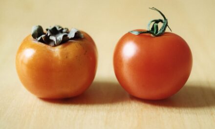 Museion Bozen: SHIMABUKU. Me, We