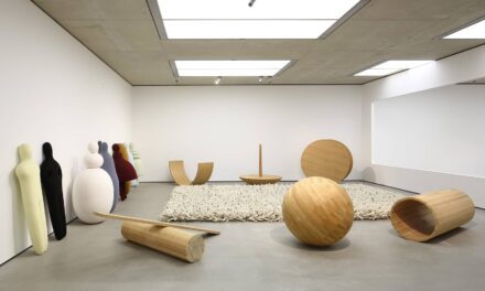 Kunstmuseum Bonn: Wiebke Siem. Das maximale Minimum - Archiviert