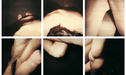 Weserburg Museum für moderne Kunst: Hannah Villiger. Ich bin die Skulptur - Archiviert