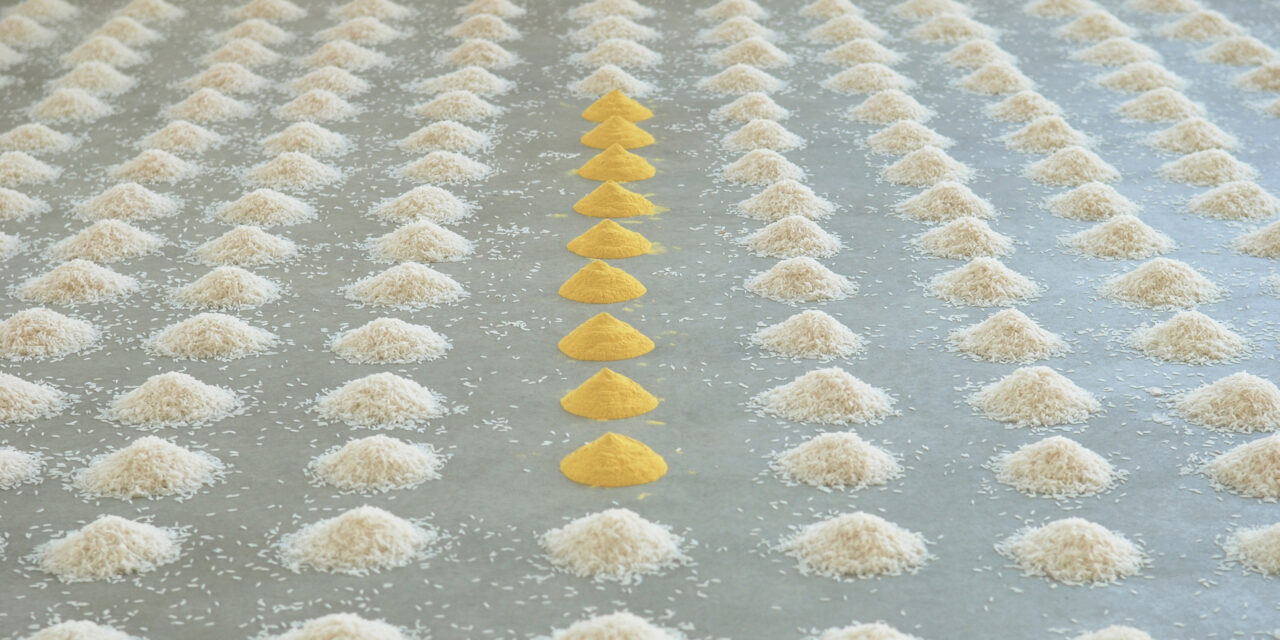 Das Kunstmuseum Stuttgart: Wolfgang Laib. The Beginning of Something Else - Archiviert