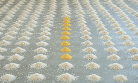 Das Kunstmuseum Stuttgart: Wolfgang Laib. The Beginning of Something Else - Archiviert