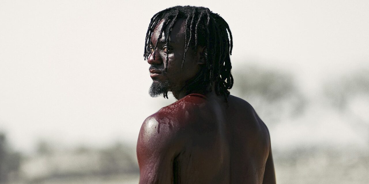 MMK Frankfurt: The Critics Company - Archiviert