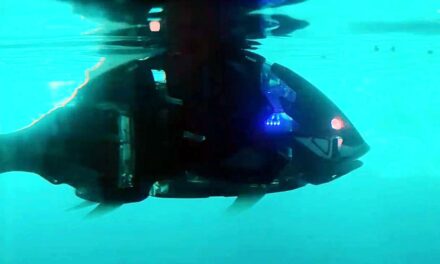 Jüdisches Museum Berlin: Maya Schweizer – Sans Histoire - Archiviert