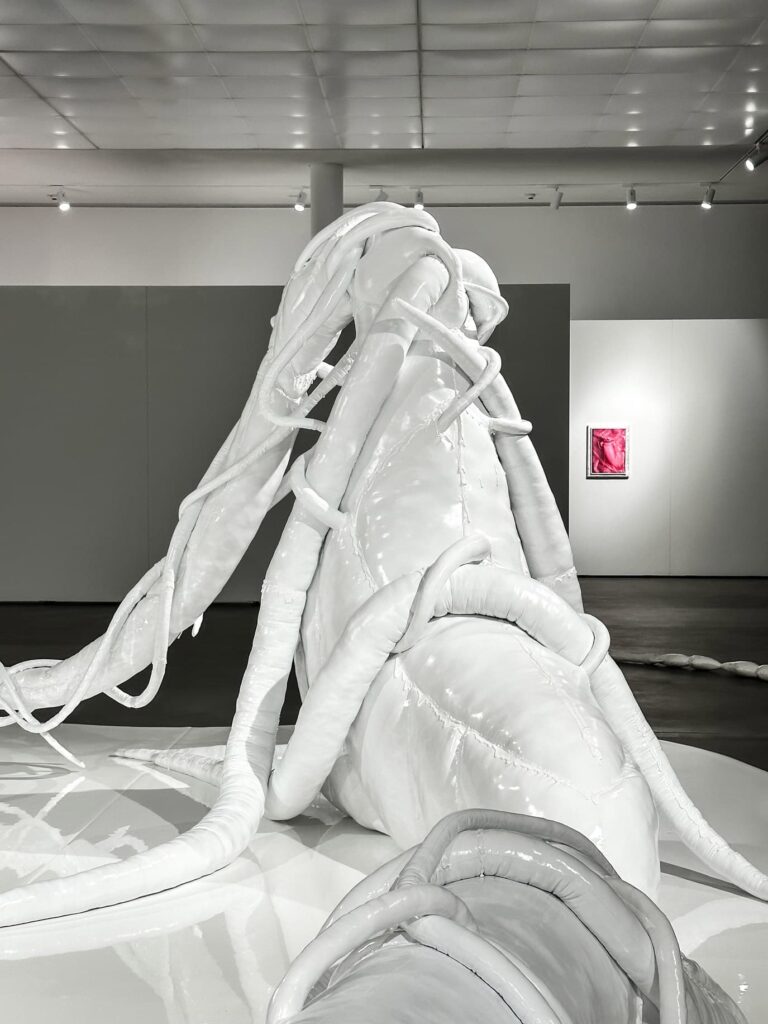 Blick in die Ausstellung Mary-Audrey Ramirez. Forced Amnesia, Foto: Marlene Schlarb