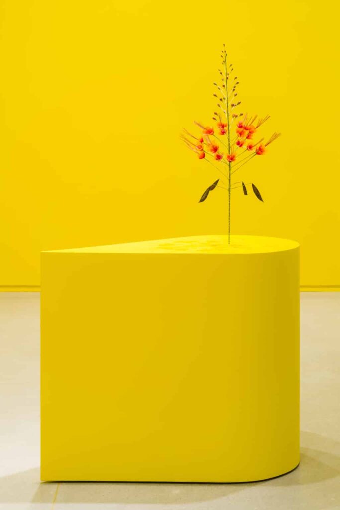 Kapwani Kiwanga, The Marias, 2020, Installationsansicht (Ausschnitt), Remai Modern, Saskatoon, Kanada, 2021 Leihgabe der IAC collection, Frankreich, © VG Bild-Kunst, Bonn 2023, Foto: Blaine Campbell