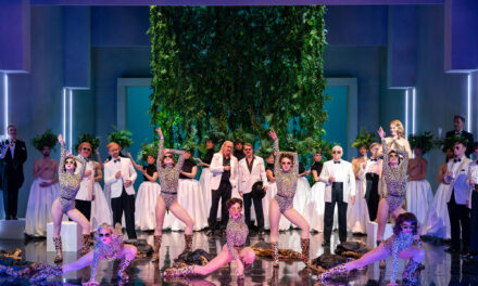 Mecklenburgisches Staatstheater Schwerin: Die Dollarprinzessin - Archiviert