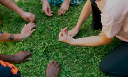 TangenteSt. Pölten: Sommerprogramm 2023 – Neue Freundschaften - Archiviert