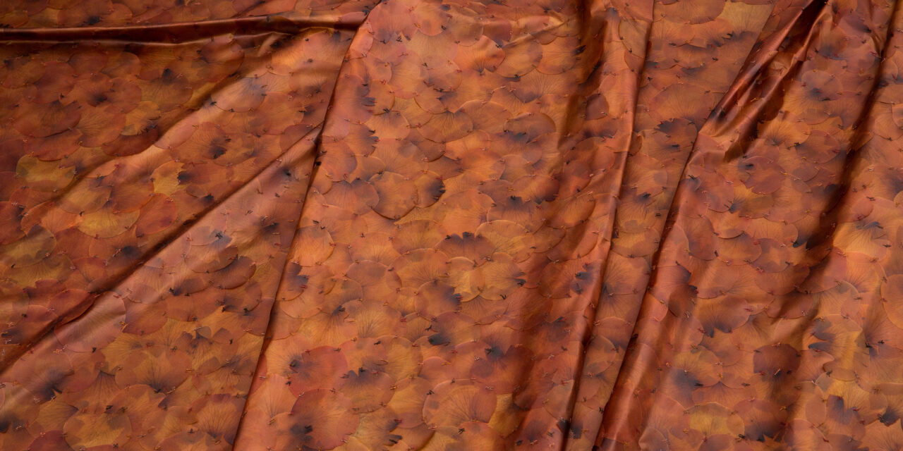 Fondation Beyeler in Basel: Doris Salcedo - Archiviert