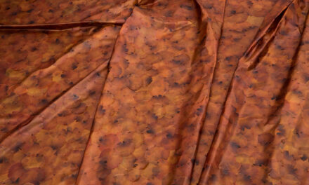 Fondation Beyeler in Basel: Doris Salcedo - Archiviert