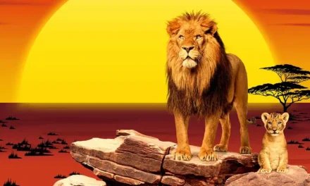 Osnabrückhalle: Der König der Löwen – The Music Live in Concert - Archiviert