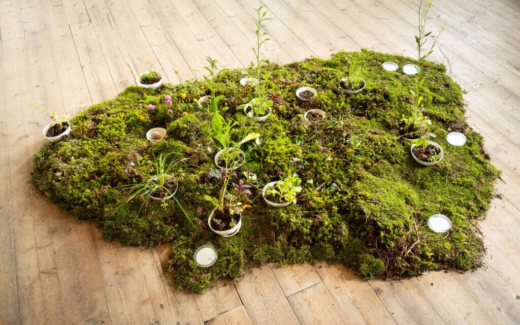 Museum Pfalzgalerie Kaiserslautern: Artists for Nature - Archiviert