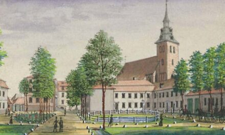 Museum Lüneburg: Geistesblitz und Sonnenstrahl - Archiviert