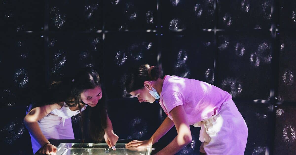 Landesmuseum Braunschweig: Unsichtbare Welten