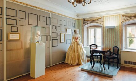 Das Haydn-Haus Eisenstadt: Haydn @ home. Privates, Wissenswertes, Amüsantes - Archiviert