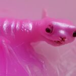 Kunsthalle Gießen: ​Mary-Audrey Ramirez. Forced Amnesia