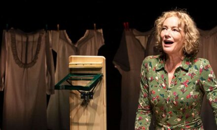 Schlosstheater Celle: Was man von hier aus sehen kann