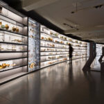 Staatliches Museum für Archäologie Chemnitz: Home sweet Home