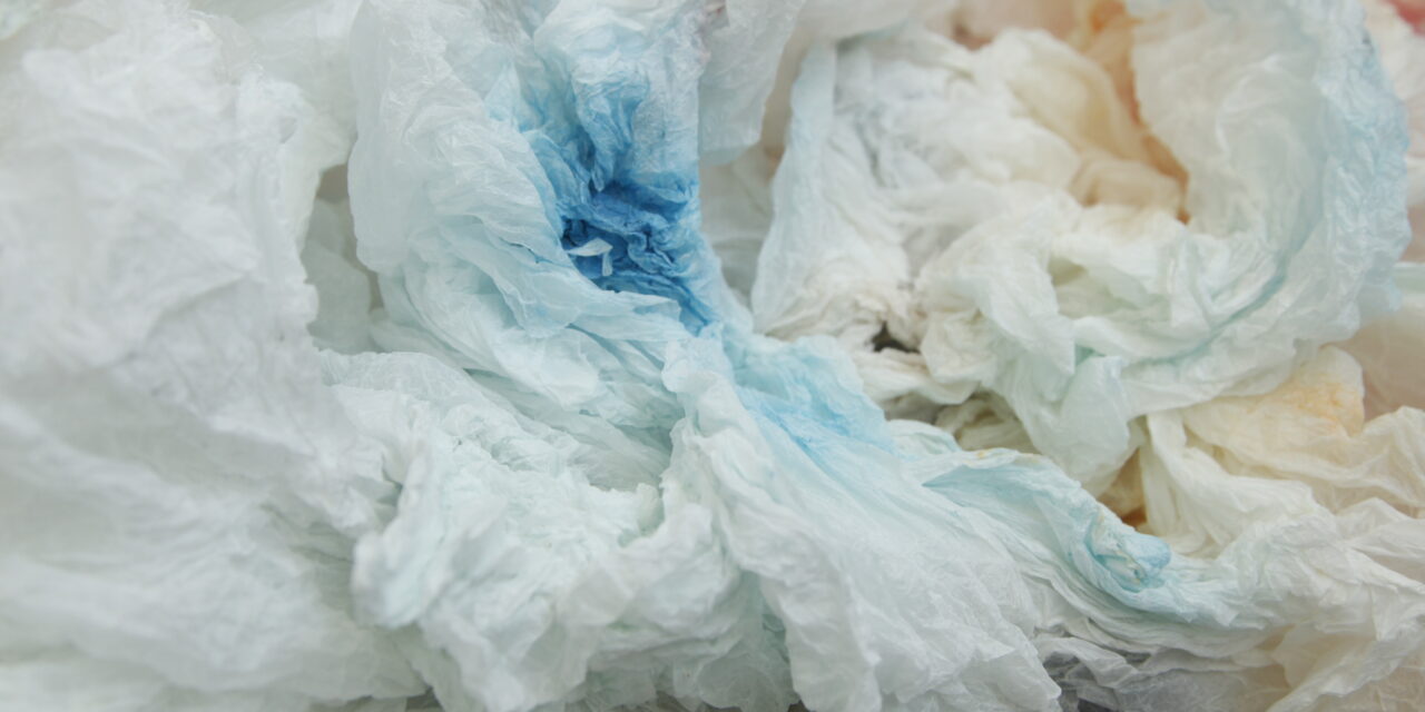 Deutsches Zeitungsmuseum in Wadgassen: Suyoung Kim – Papierkunst - Archiviert